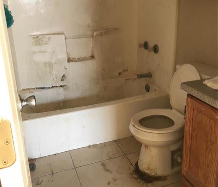 Bathroom tub and toilet are full of rust and waste
